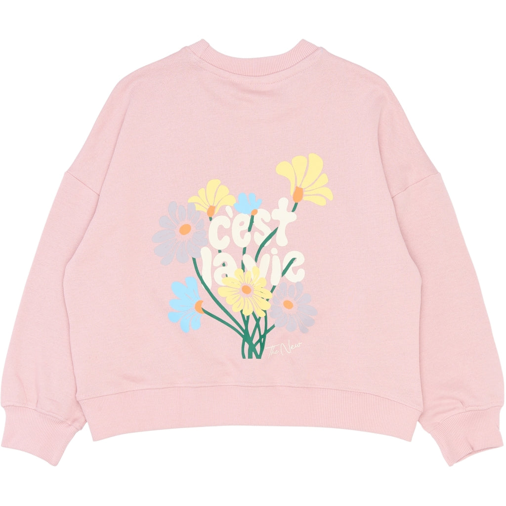 THE NEW TNSandy Oversize Sweatshirt Sweatshirt Silver Pink
