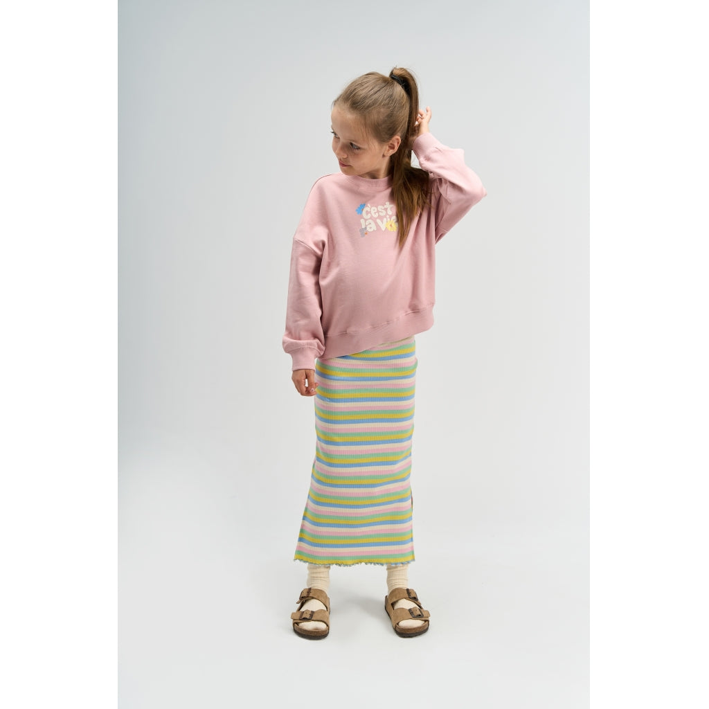 THE NEW TNSandy Oversize Sweatshirt Sweatshirt Silver Pink