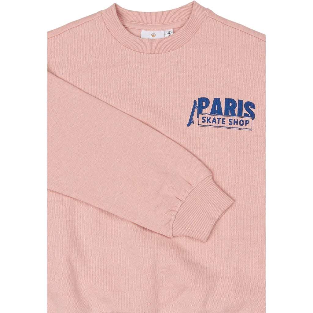 THE NEW TNSeyn Oversize Sweatshirt Sweatshirt Silver Pink