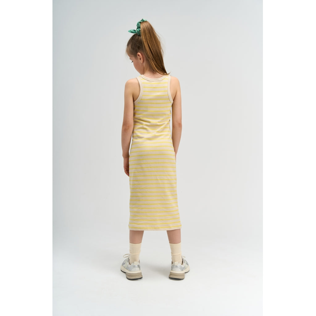 THE NEW TNShannon Ærmeløs Kjole Kjoler Acacia Striped