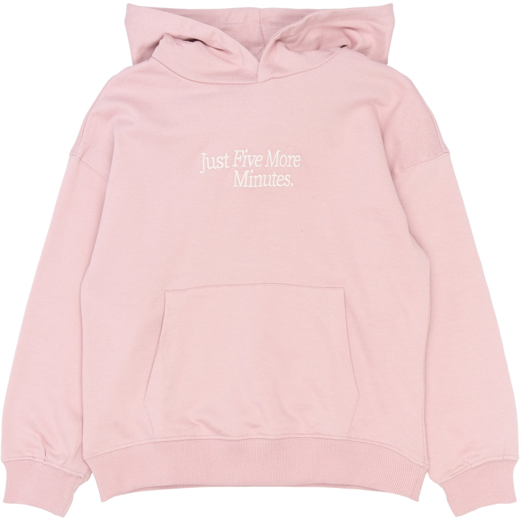 THE NEW TNSheridan Oversize Hættetrøje Sweatshirt Silver Pink