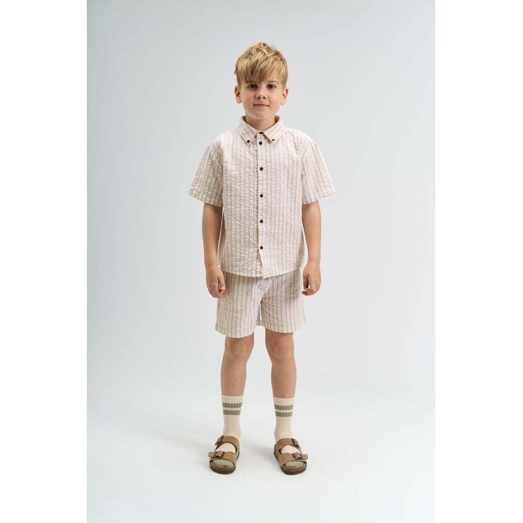 THE NEW TNSmith Shorts Shorts Humus Striped