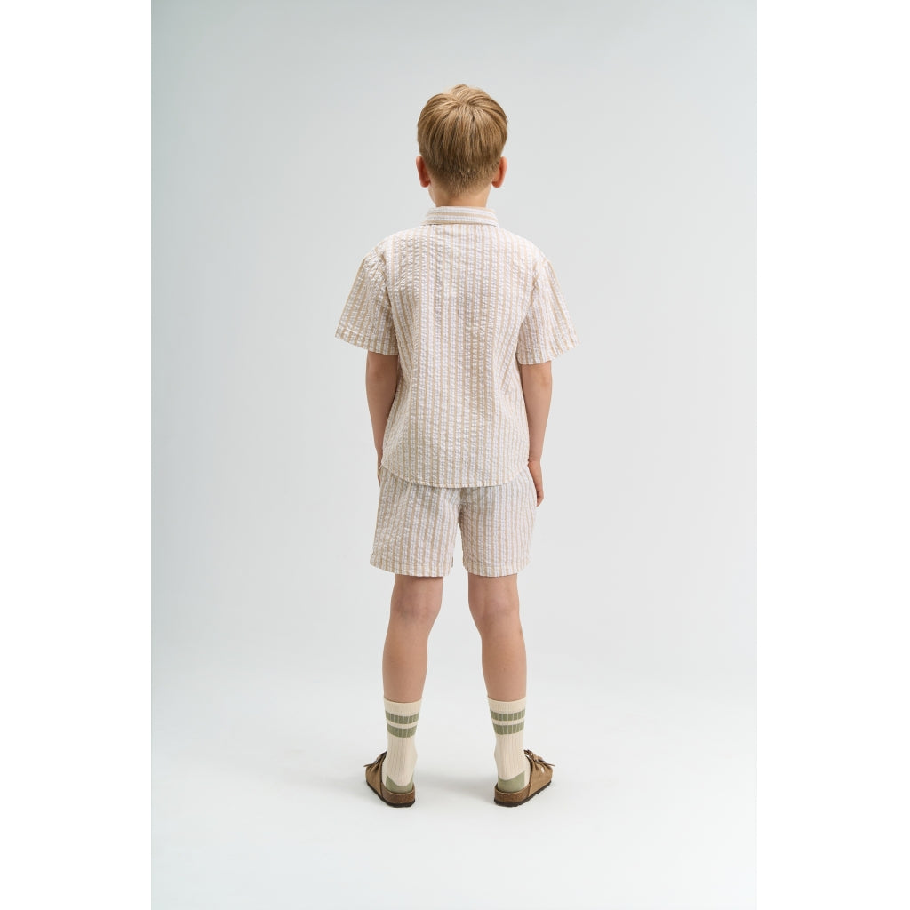 THE NEW TNSmith Shorts Shorts Humus Striped