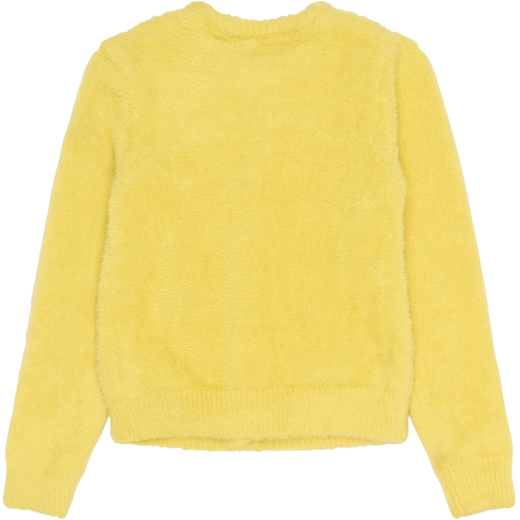 THE NEW TNStacci Strik Cardigan Strik Dusky Citron