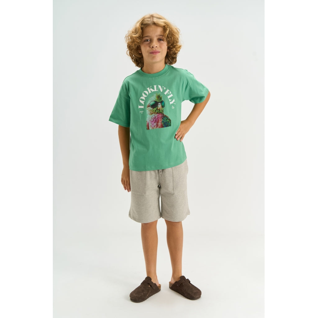 THE NEW TNTarek Oversize Bluse T-shirt Creme De Menthe