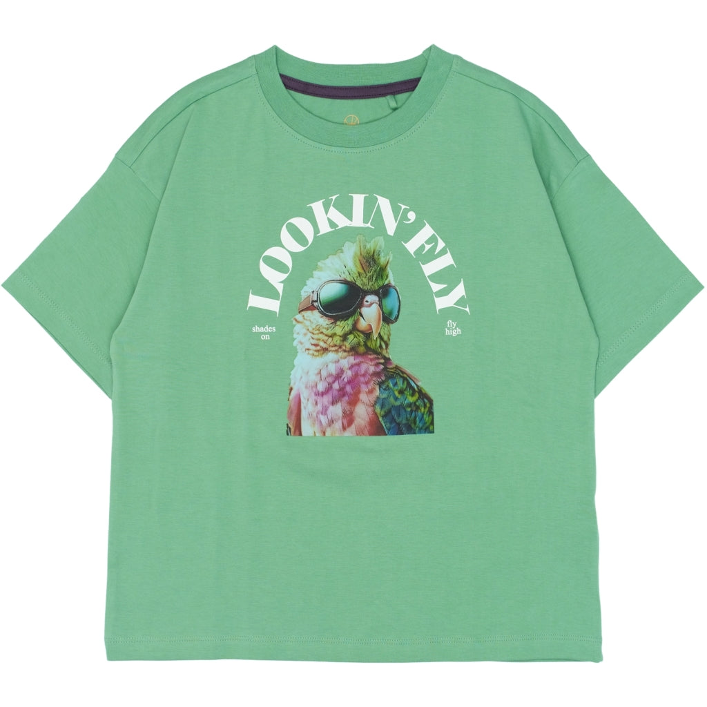 THE NEW TNTarek Oversize Bluse T-shirt Creme De Menthe