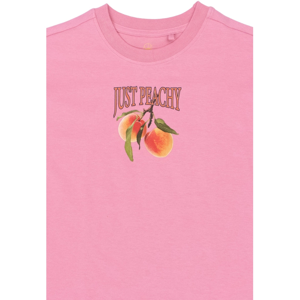 THE NEW TNTenna Oversize Bluse T-shirt Cashmere Rose