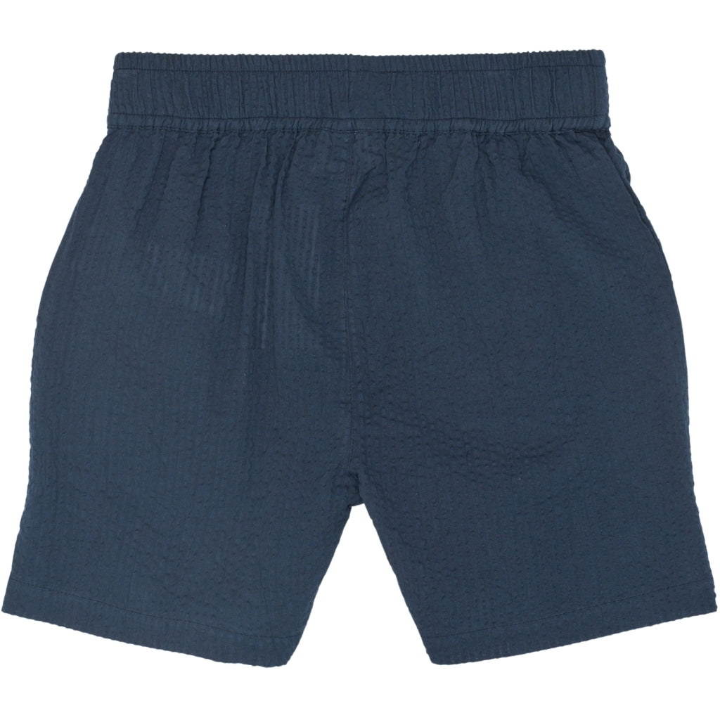 THE NEW TNTim Shorts Shorts Navy Blazer
