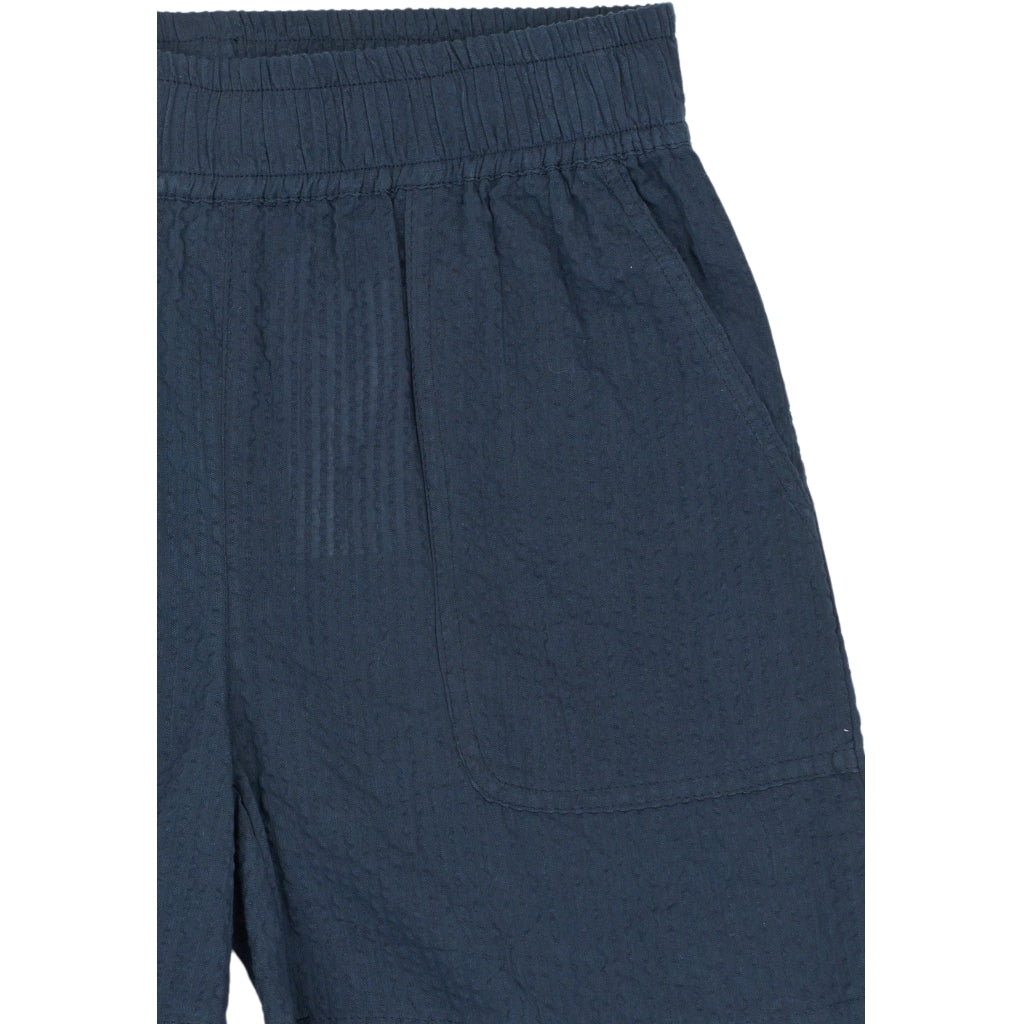 THE NEW TNTim Shorts Shorts Navy Blazer