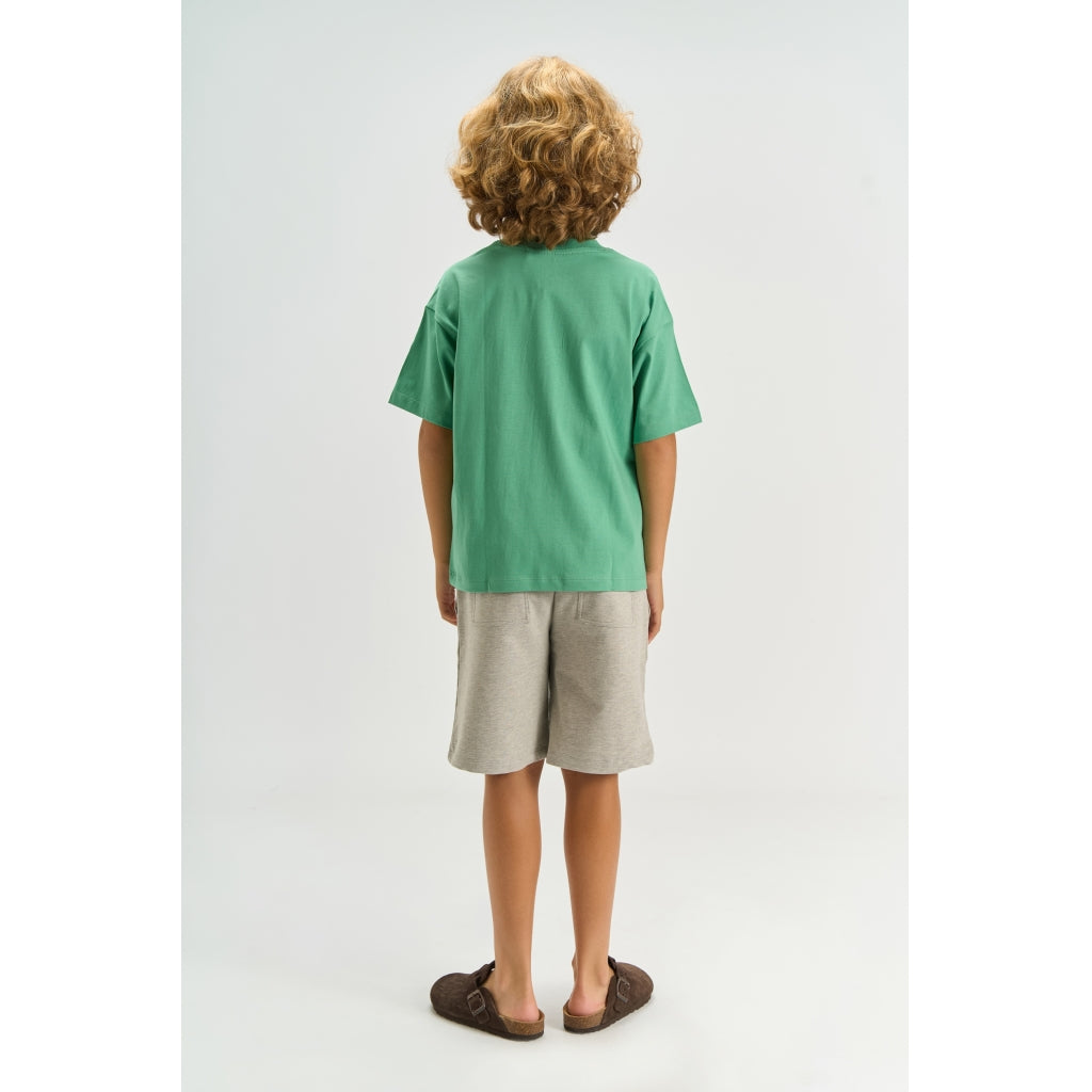 THE NEW TNTimothy Sweatshorts Shorts Light Grey Melange