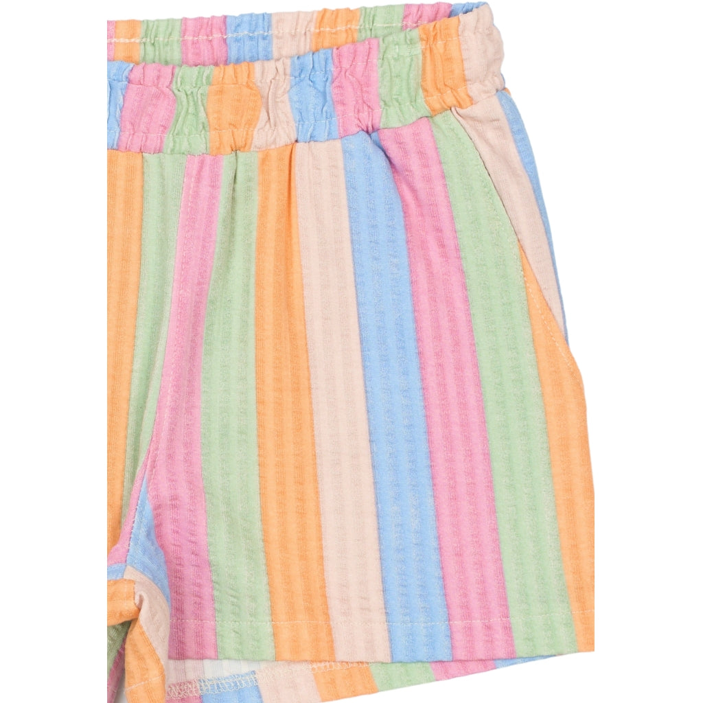THE NEW TNTrace Shorts Shorts Multi Striped