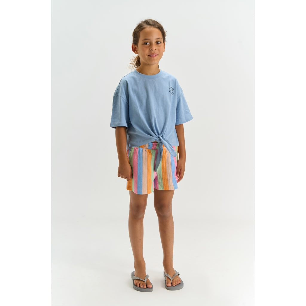 THE NEW TNTrace Shorts Shorts Multi Striped