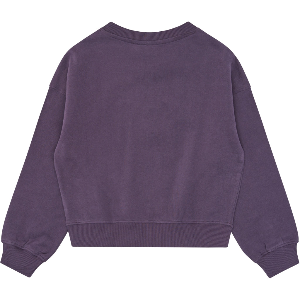 THE NEW TNVelva Oversize Sweatshirt Sweatshirt Sweet Grape TN