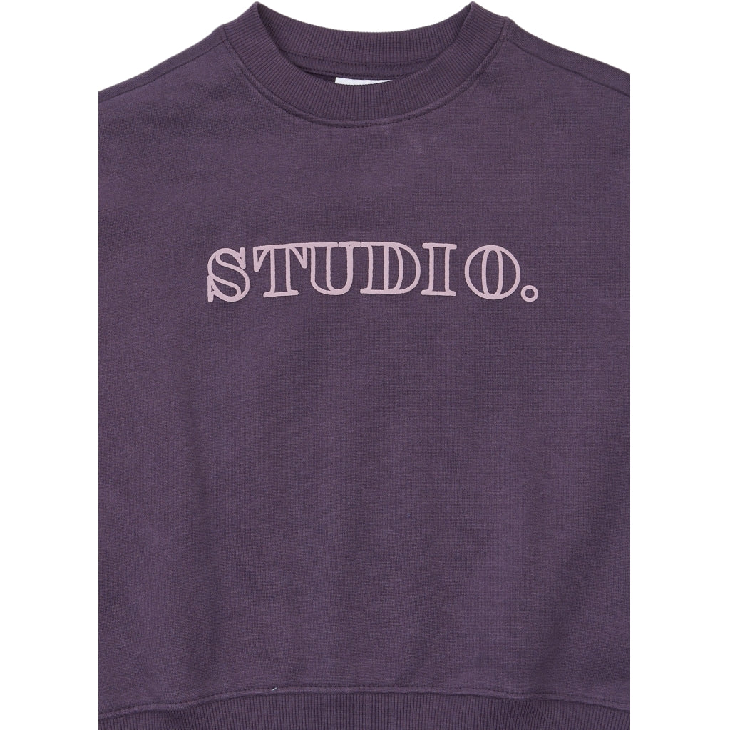 THE NEW TNVelva Oversize Sweatshirt Sweatshirt Sweet Grape TN