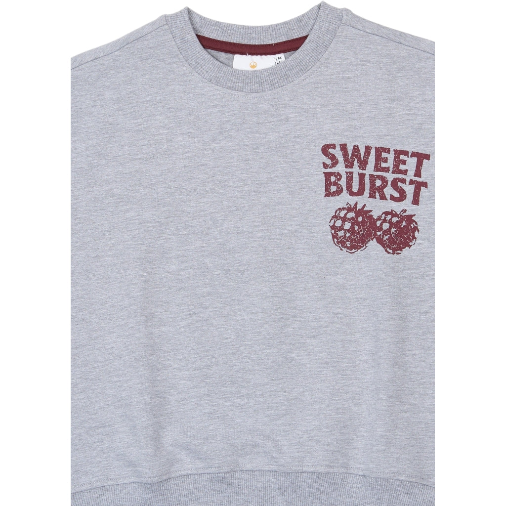 THE NEW TNVeris Oversize Sweatshirt Sweatshirt Light Grey Melange