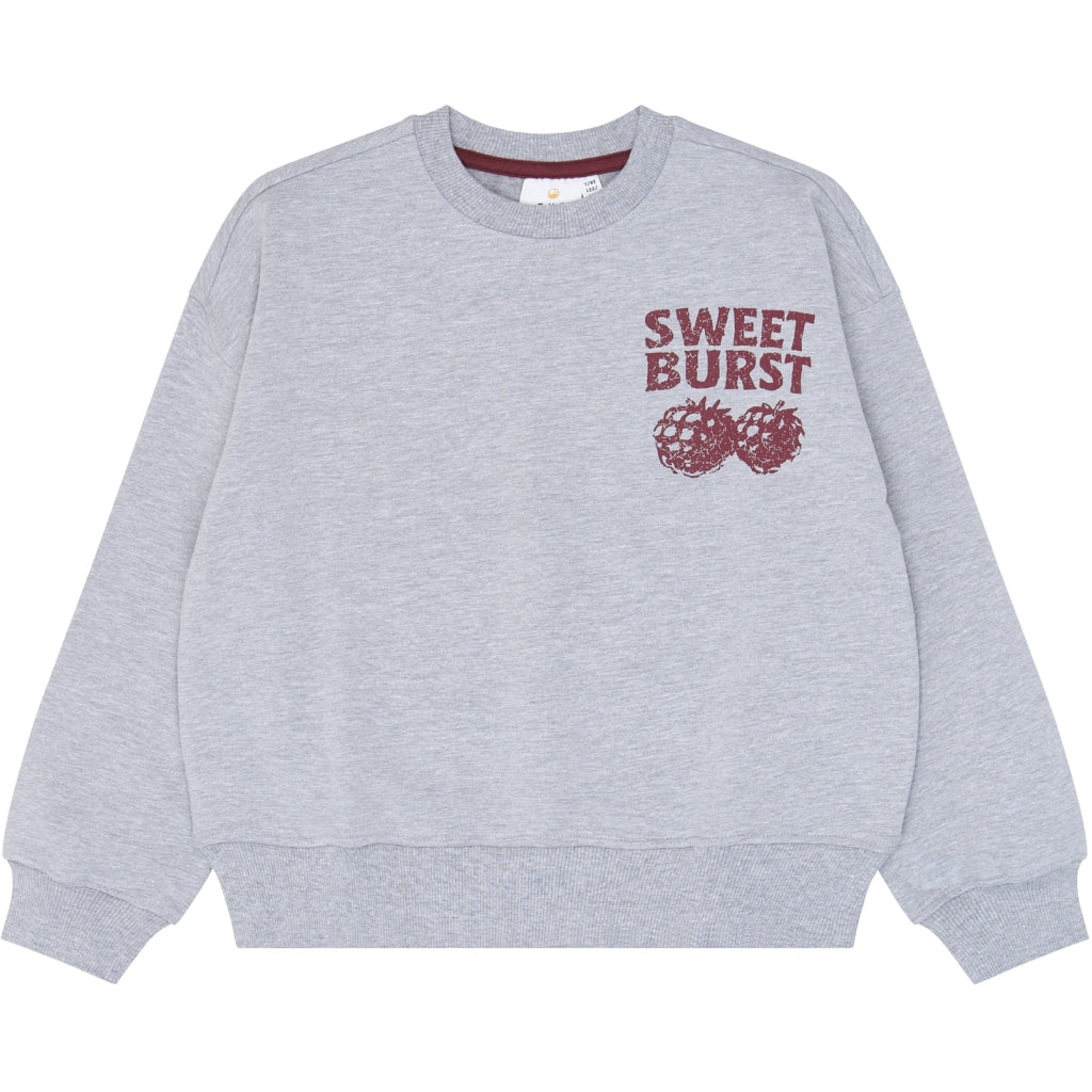 THE NEW TNVeris Oversize Sweatshirt Sweatshirt Light Grey Melange