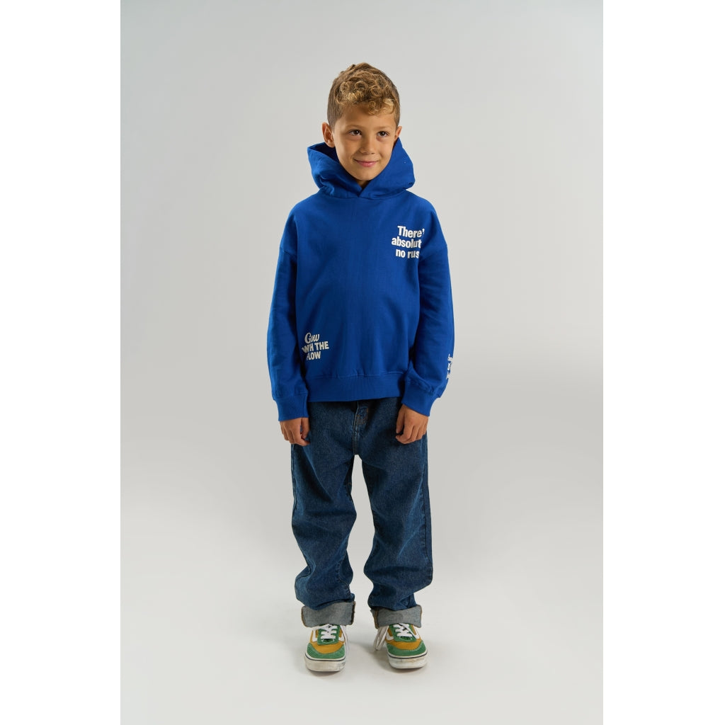 THE NEW TNVermont Oversize Hættetrøje Sweatshirt Mazarine Blue
