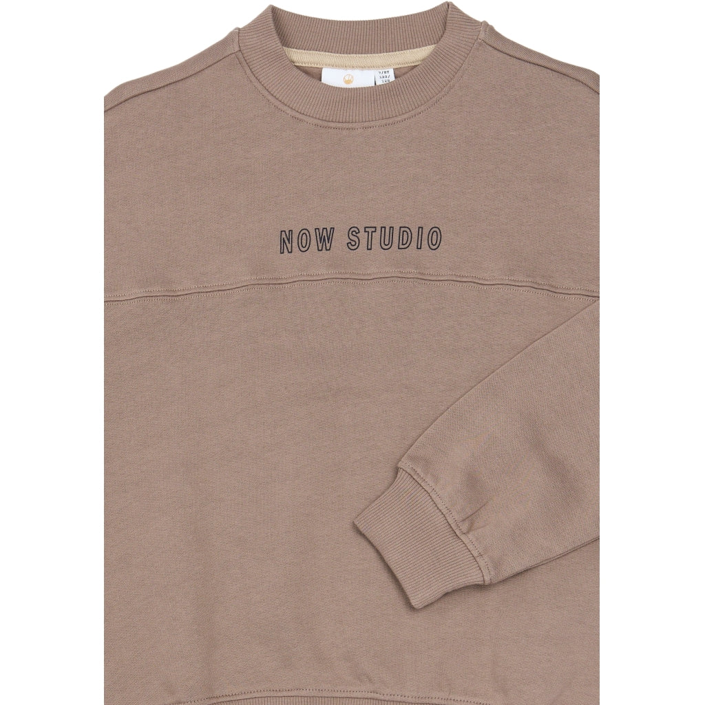 THE NEW TNVeryl Oversize Sweatshirt Sweatshirt Taupe Gray TN
