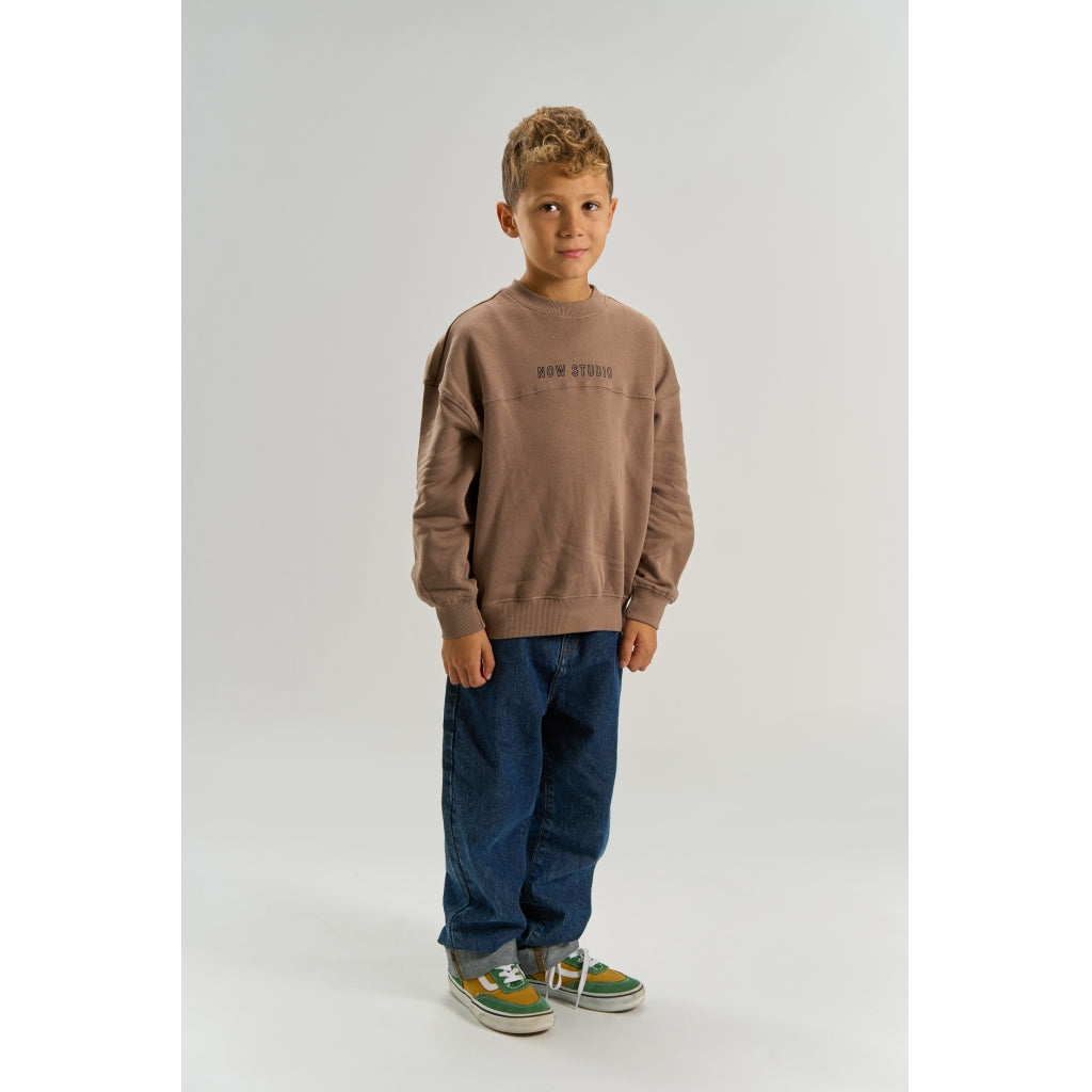 THE NEW TNVeryl Oversize Sweatshirt Sweatshirt Taupe Gray TN