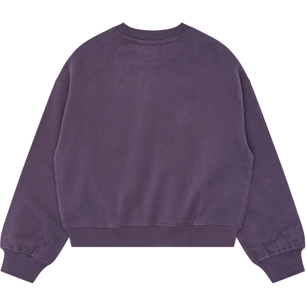 THE NEW TNVianca Oversize Sweatshirt Sweatshirt Sweet Grape TN