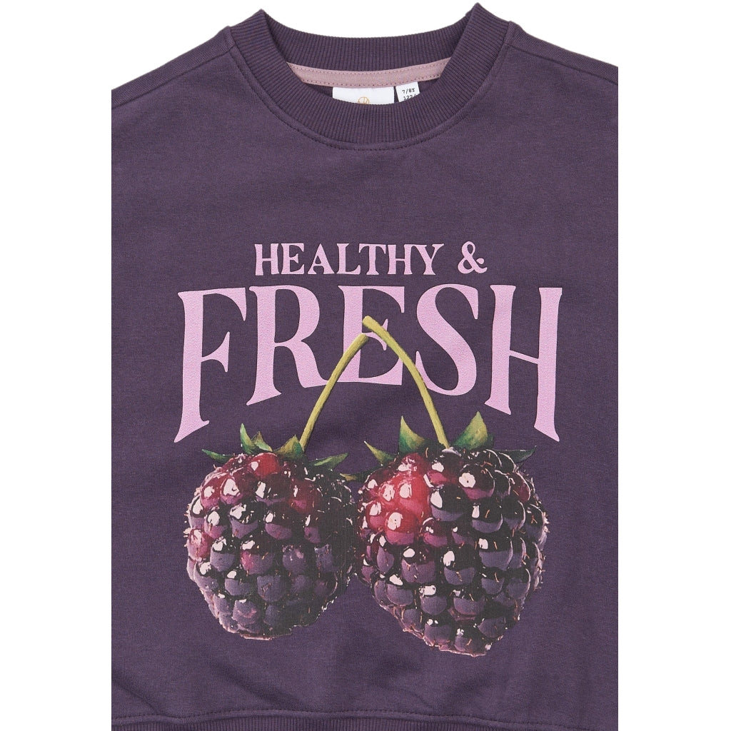 THE NEW TNVianca Oversize Sweatshirt Sweatshirt Sweet Grape TN