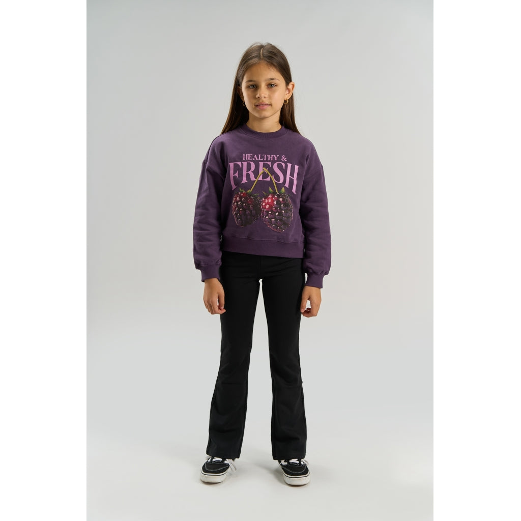 THE NEW TNVianca Oversize Sweatshirt Sweatshirt Sweet Grape TN