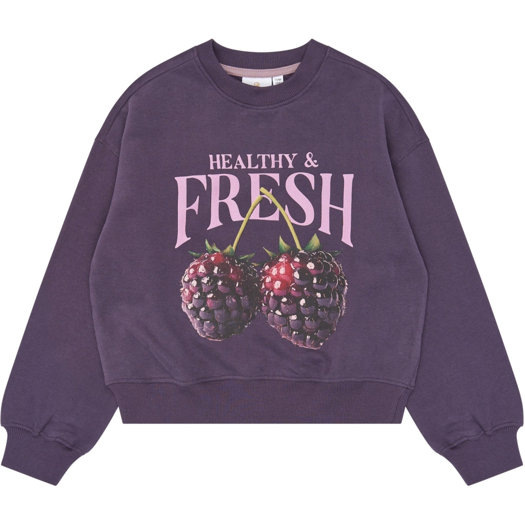 THE NEW TNVianca Oversize Sweatshirt Sweatshirt Sweet Grape TN