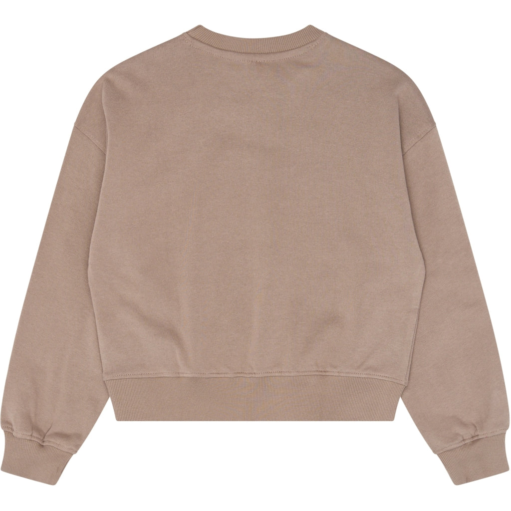 THE NEW TNVianca Oversize Sweatshirt Sweatshirt Taupe Gray TN