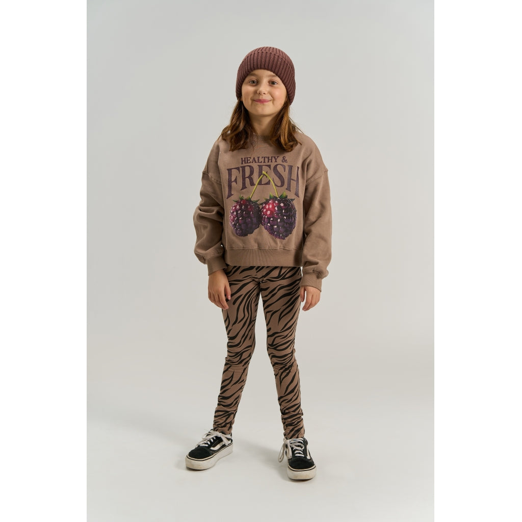 THE NEW TNVianca Oversize Sweatshirt Sweatshirt Taupe Gray TN