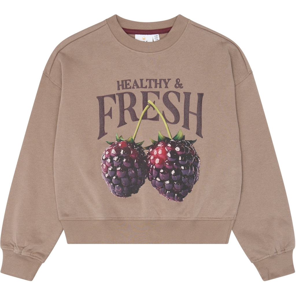 THE NEW TNVianca Oversize Sweatshirt Sweatshirt Taupe Gray TN