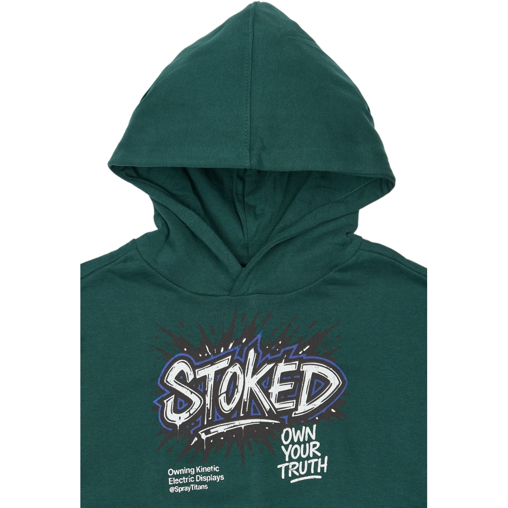 THE NEW TNVilhelm Oversize Hættetrøje Sweatshirt June Bug