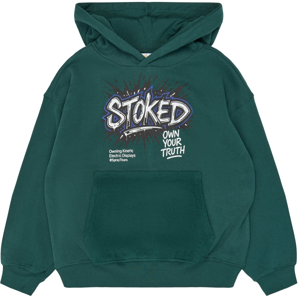 THE NEW TNVilhelm Oversize Hættetrøje Sweatshirt June Bug