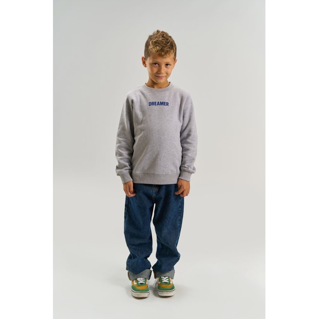 THE NEW TNVillard Melange Sweatshirt Sweatshirt Light Grey Melange