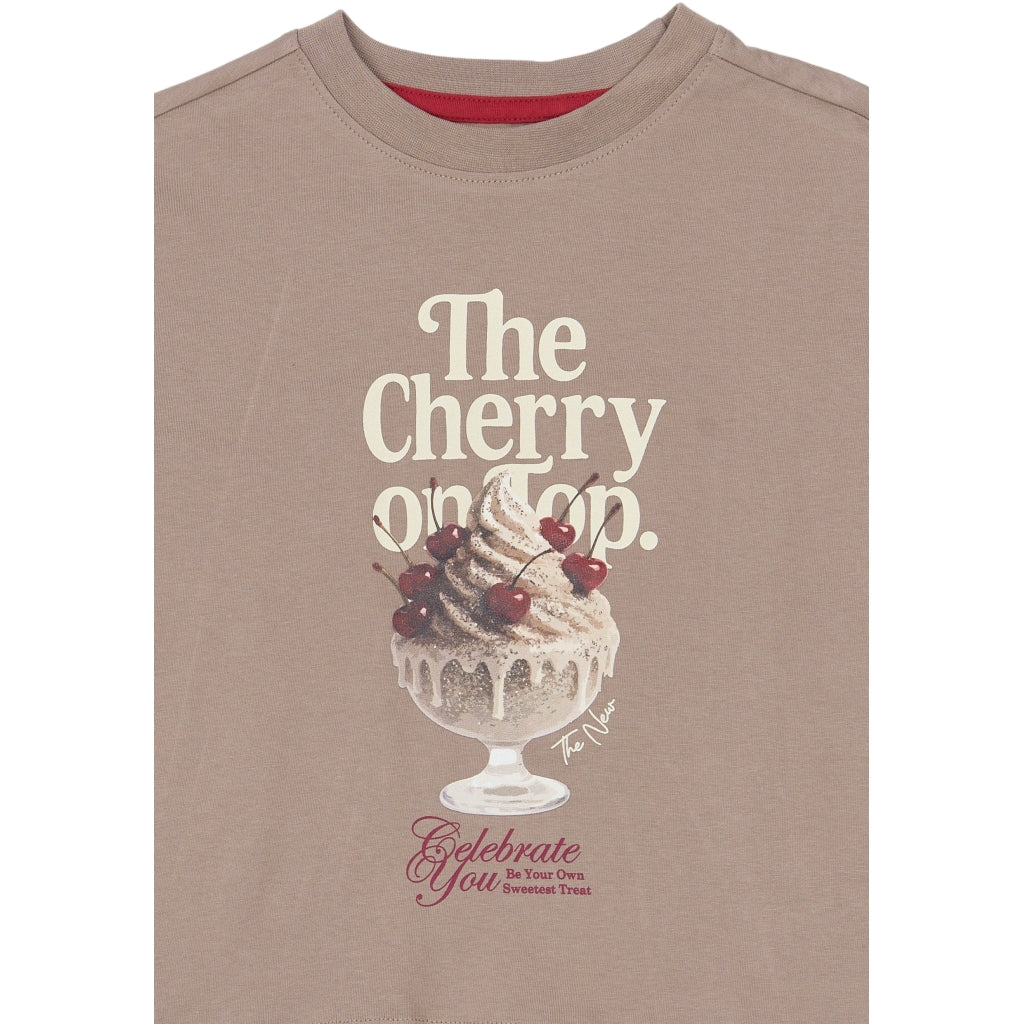 THE NEW TNYoletta Oversize T-shirt T-shirt Taupe Gray TN